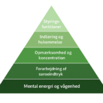 Kognitiv pyramide